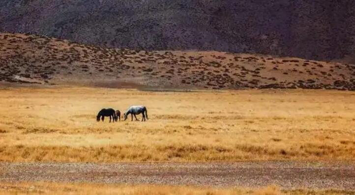 個人運勢變化的時候都有哪些表現