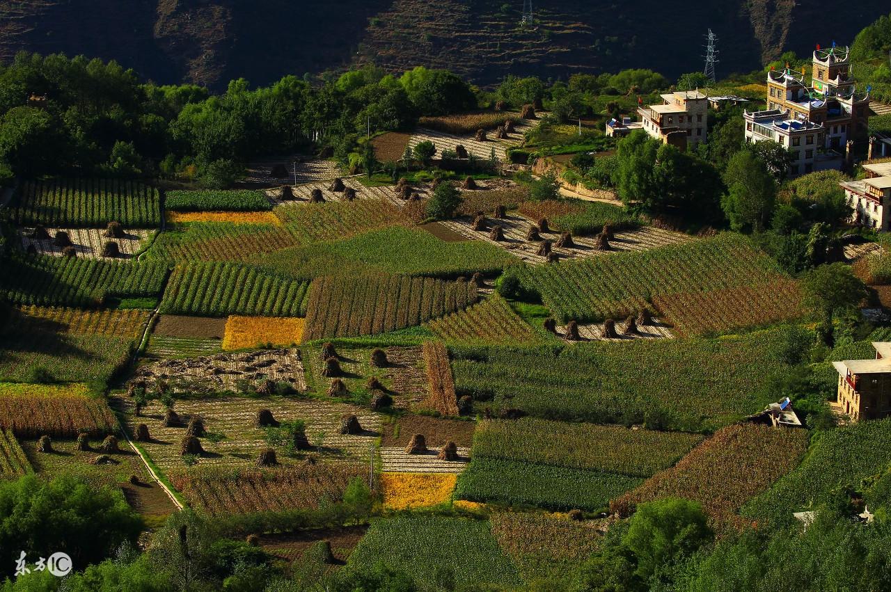 妙光命理風水：研習風水的幾個要點