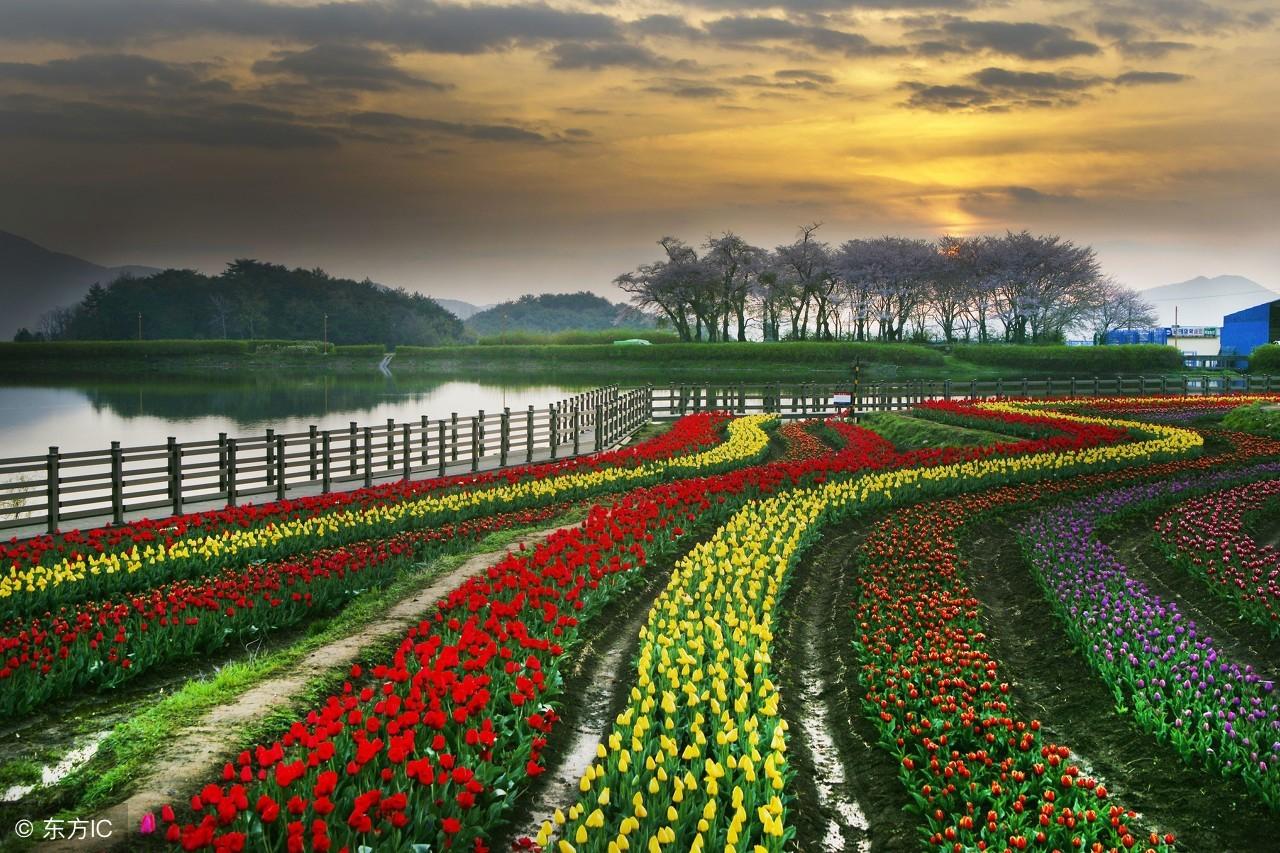 老太太客死路旁，眾人將其就地埋葬，想不到若干年後竟成風水寶地