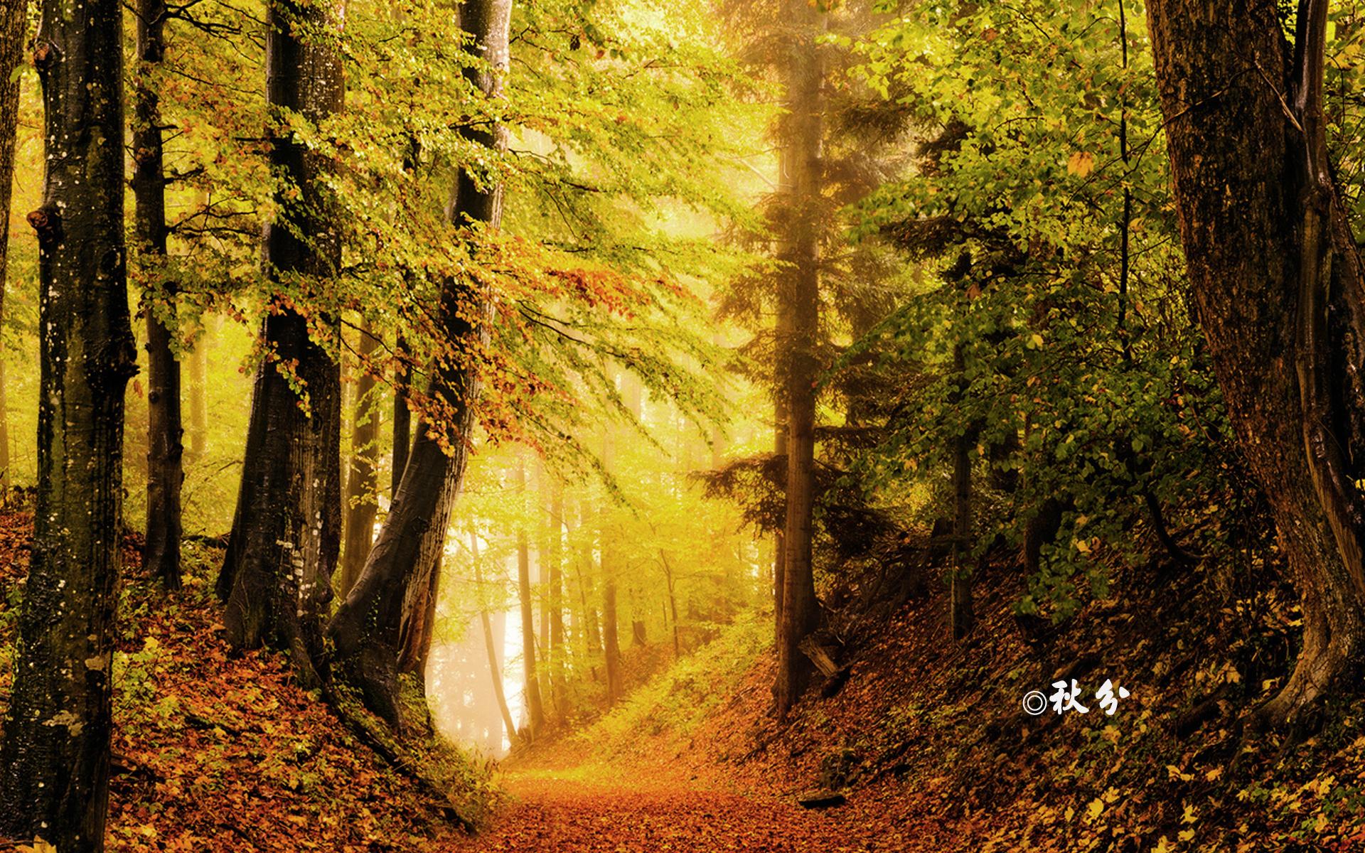 9月22號秋分之日，如何旺運你知道嗎？