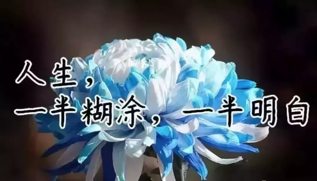 故事很短，卻說透了我們的一生，我看了10遍！（值得收藏）