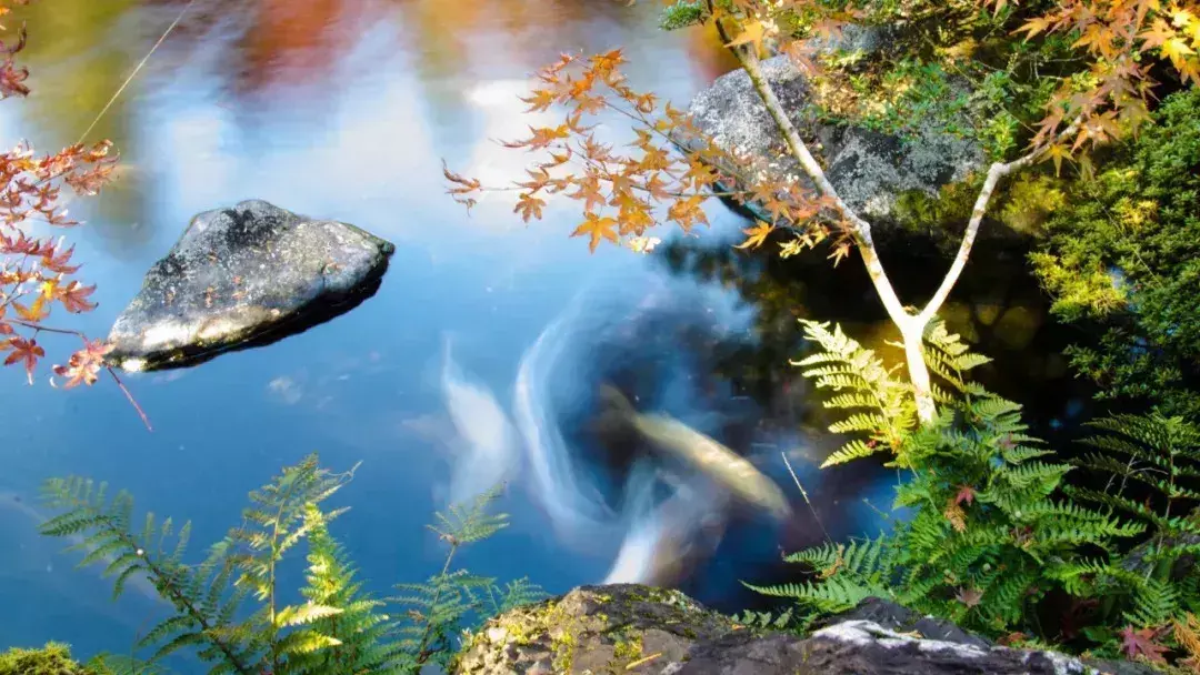 後半生，你越活越好的7個跡象！