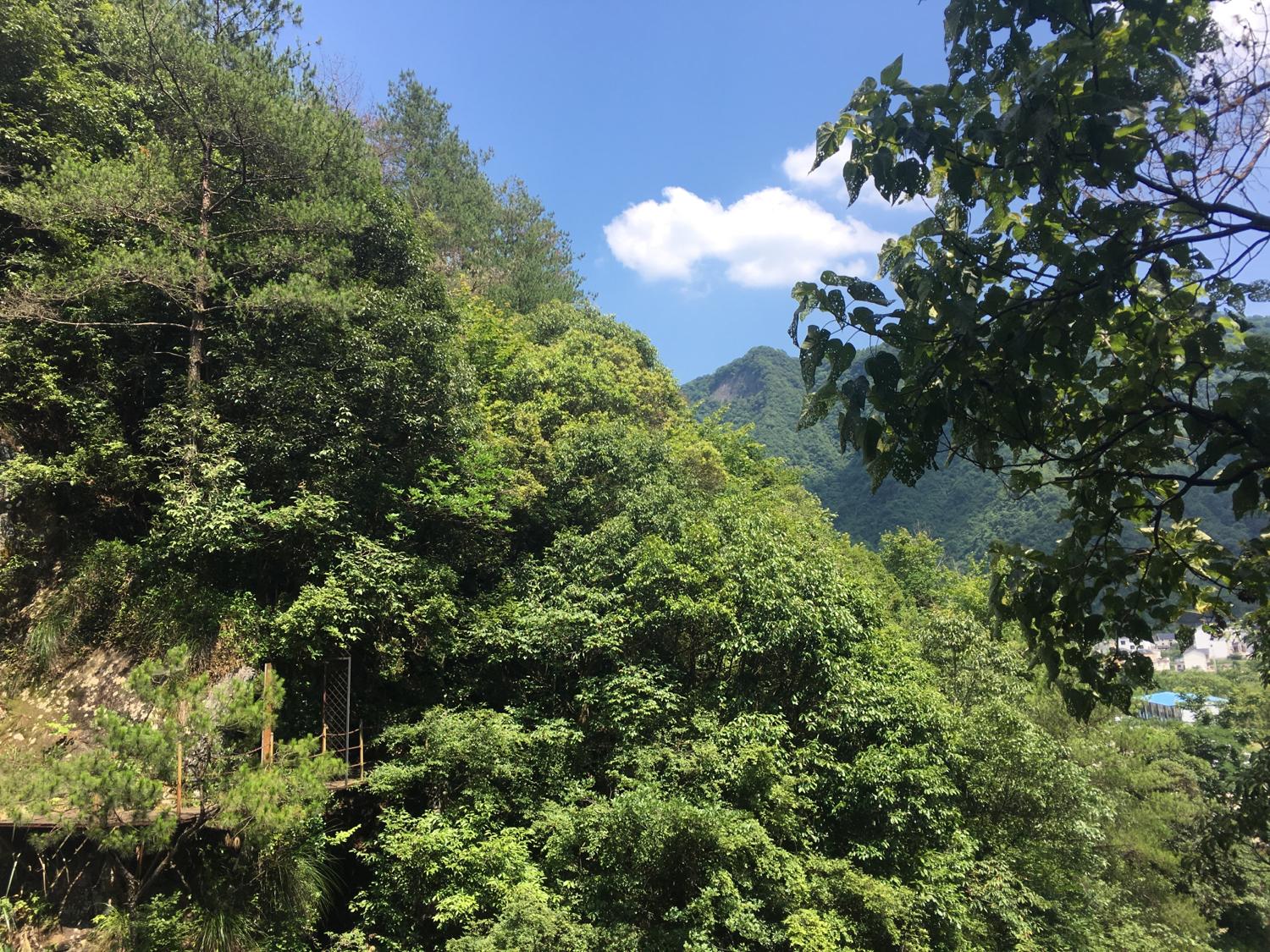 陰宅立命之根，陽宅養命之原—論陰陽宅