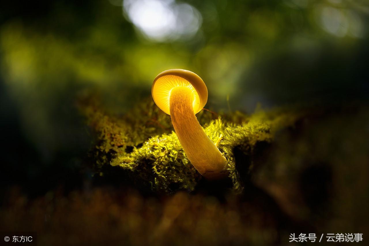 心不屈,定不凡,30餘載資深風水王師傅教你如何面對人生無常!