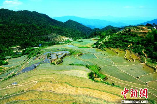 「薦讀」有一種放假叫回家，看完淚奔