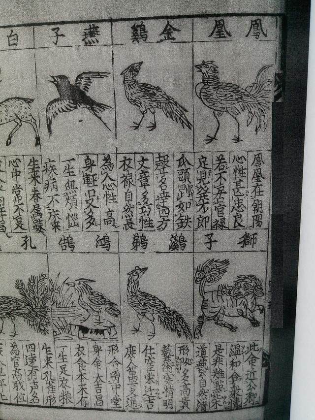 中华经典:男女“十二命形态篇”奉上