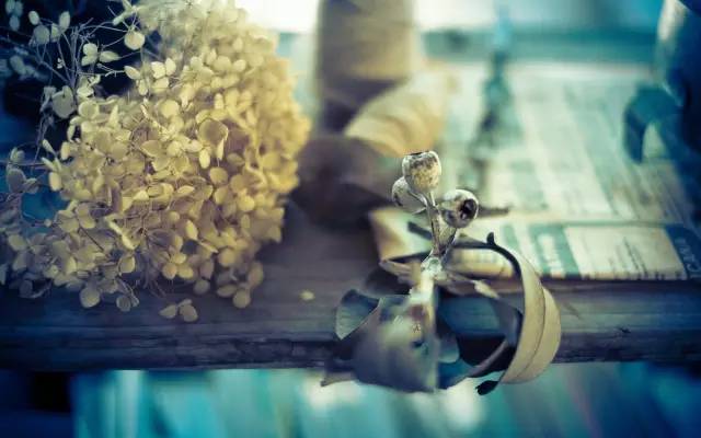 一代才女林徽因的唯美文字