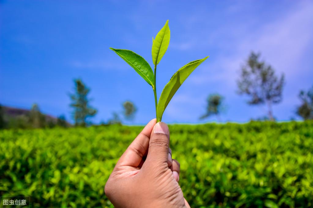 風水知識：破財敗運，事事不順，原來問題出在這里