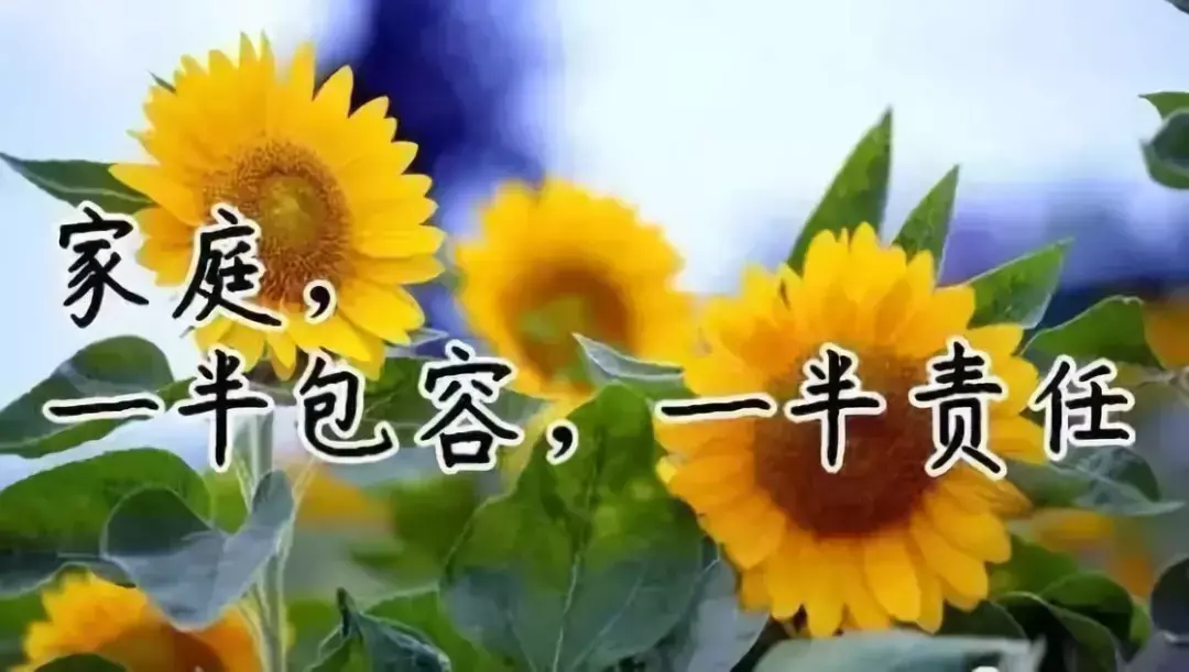 故事很短，卻說透了我們的一生，我看了10遍！（值得收藏）