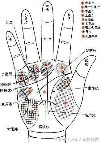 手相大師38年經驗公開，只有這4種手相的人可以功成名就