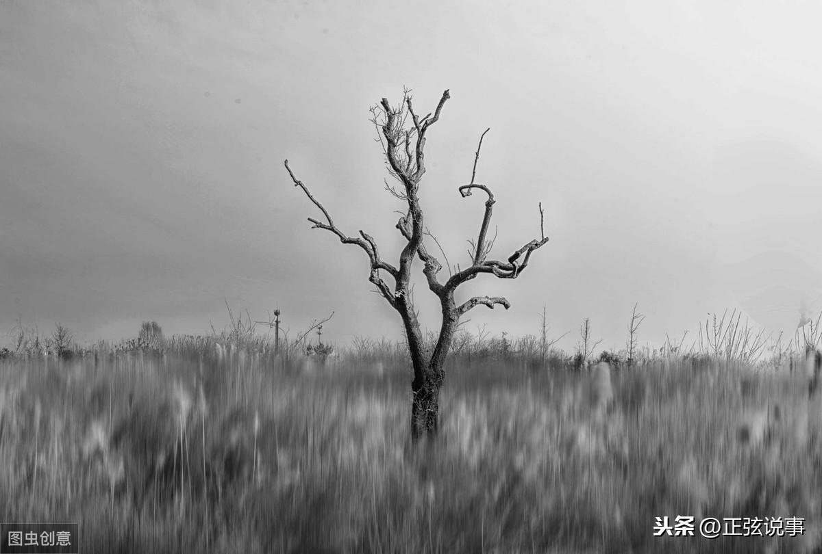 寫在高考的日子，突然很想女兒了