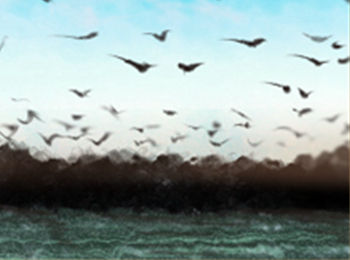 文昌位在風水中到底起到什麼作用？