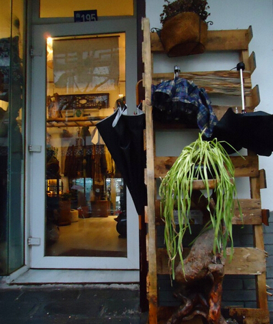 店面植物擺放風水