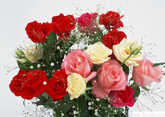 鮮花在家居風水中有啥作用 五行屬木選擇顏色與對應的方位風水有