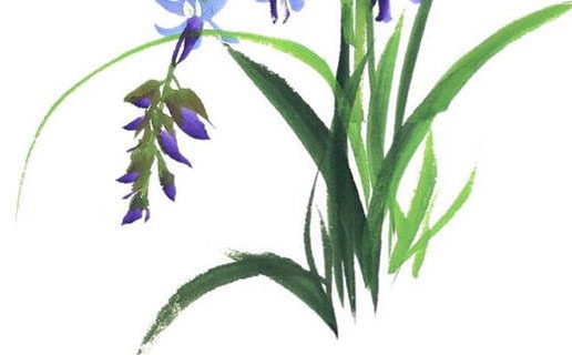 女孩為什麼午時最好 最好命的女孩出生在幾點