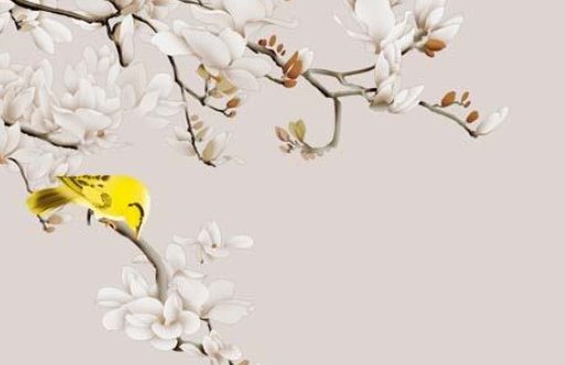 午時出生的女孩克父母嗎 適合從事醫生等行業