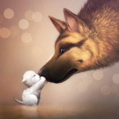 風水看你適不適合養狗