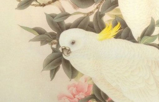 車牌號碼什麼數字好四個數 帶來富貴的車牌組合大全