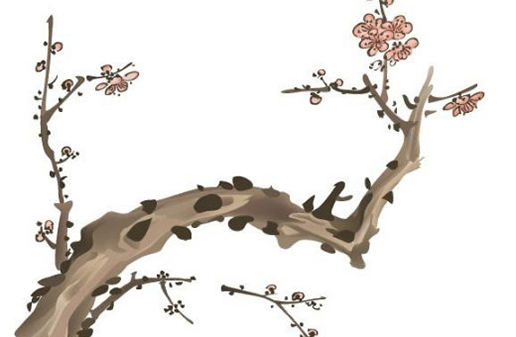 屬牛女孩哪天出生最好命,農歷11日財運不錯