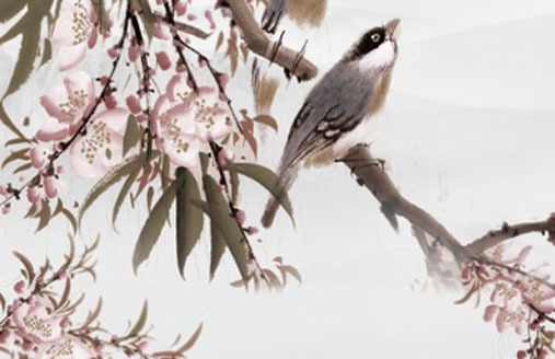 車牌號應該怎樣選才好 招財旺運的數字