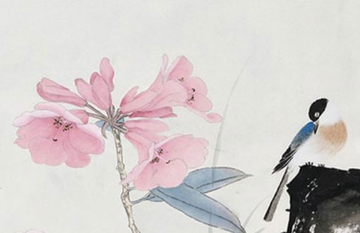 小雪出生的女孩命運 貴人提拔末運大旺