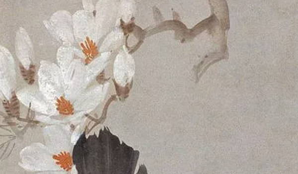 戴黃金的風水宜忌 相關講究要注意