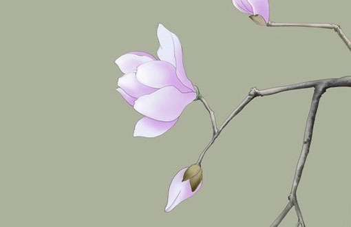 選吉利車牌號的基本技巧 吉利車牌號大全