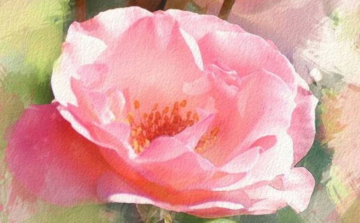 屬鼠的午時出生的女命 午時出生的女孩有很強的貴人運