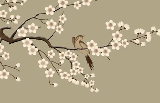 車牌號數字大好還是數字小好 大數有利於車主理財