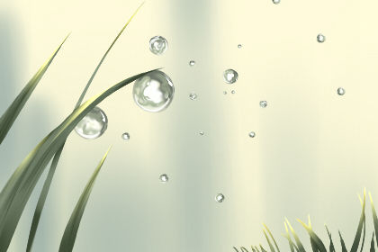 廁所風水的4大講究你知多少