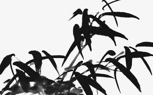 屬豬女孩最好的出生時辰 卯時出生的屬豬人最好命