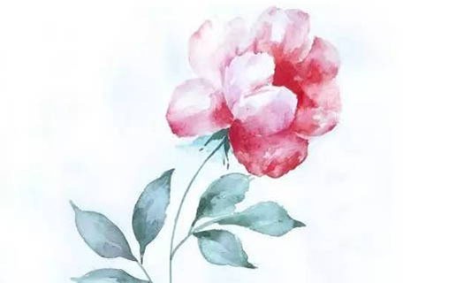 2021年牛年寶寶是富貴命嗎 亥時出生的屬牛人財運很好