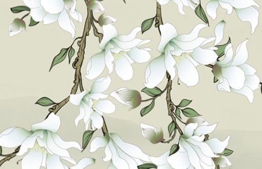 車牌號為什麼不要7和4 諧音不佳寓意好