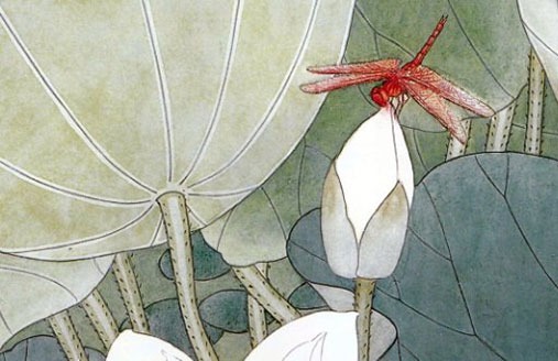 車牌號怎麼選吉利 數字組合吉凶看牌號