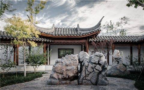 庭院種樹6大風水禁忌，你了解多少？