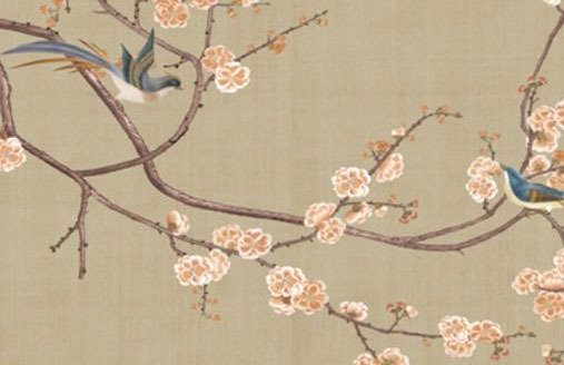 車牌號尾號66好嗎 最旺運勢車牌字母