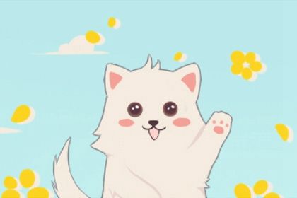 家裡擺放什麼辟邪東西好 鎮宅保平安