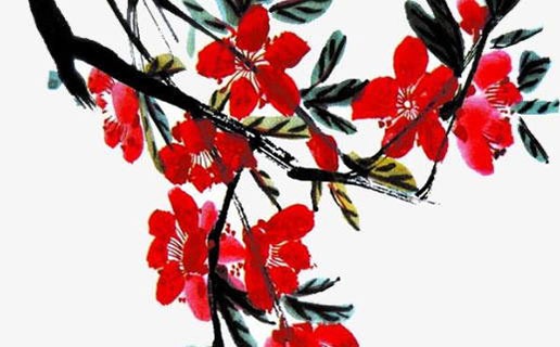 屬兔午時出生好不好 屬兔人的運勢好不好