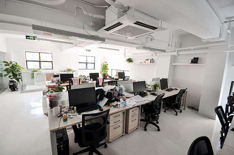 辦公室可以擺放觀音竹嗎？擺放的風水禁忌知道嗎？