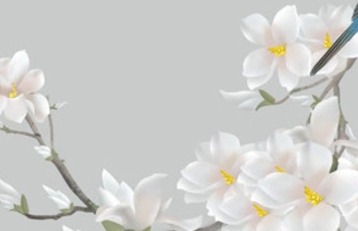 生日車牌號可遇不可求 最旺運勢牌號分析