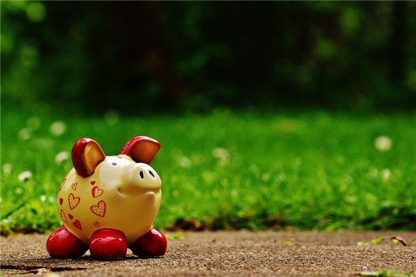 1995年豬2021年運勢及運程