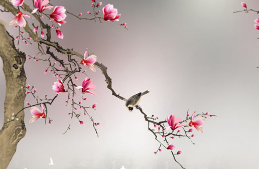 卯時出生的女孩旺夫嗎,這4個時辰的女人最好命