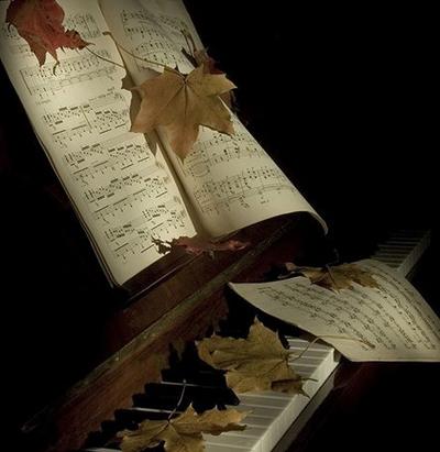 傷害婚姻運的風水有哪些