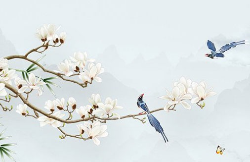 車牌選什麼數字和字母好 吉利車牌號推薦