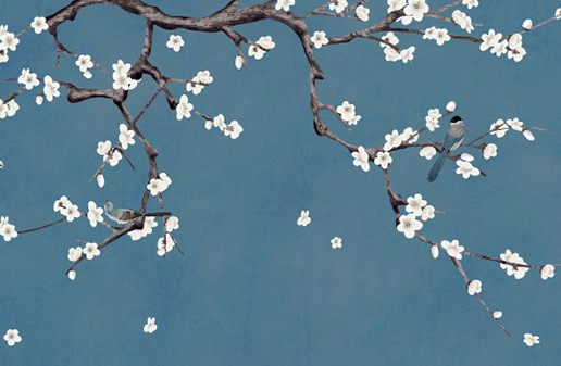 屬牛人生於幾月命最好,十一月出生的牛寶寶一生輕鬆