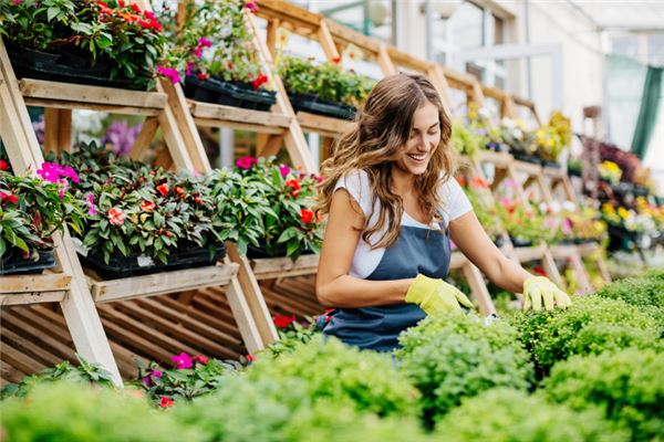 後悔弄樓頂花園了