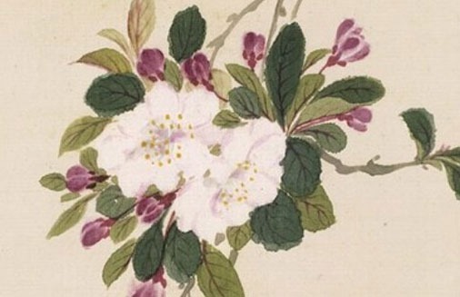 女人帶財運的車牌號 保平安旺財牌號分析