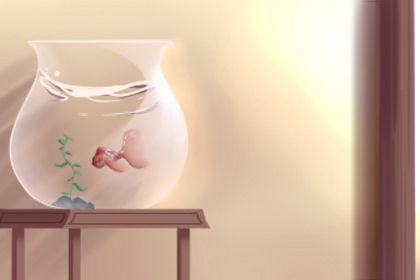 適合放電視櫃上的擺件,給家中帶來好運勢的必備品