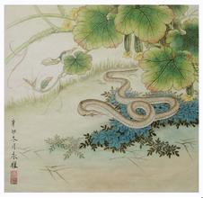 卧室貼蛇的圖畫風水不好