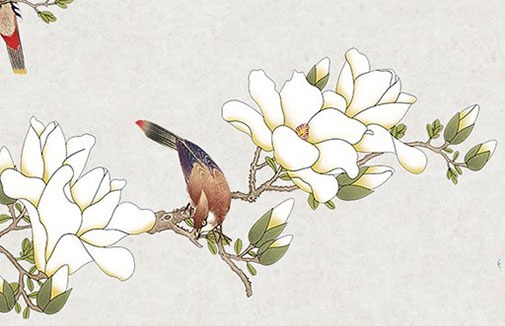 尾號00車牌值錢嗎 五行旺運車牌字母集錦